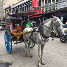 ローカルマーケットで馬車に乗る(セブイングリッシュスクール)